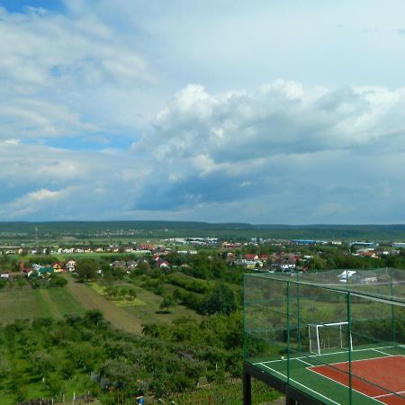 Pensiunea Andrei Maracineni Exterior foto