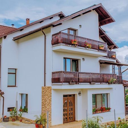 Pensiunea Andrei Maracineni Exterior foto