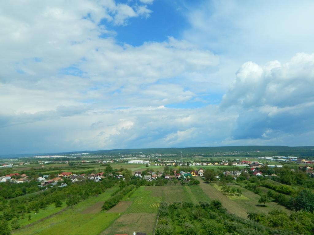 Pensiunea Andrei Maracineni Exterior foto