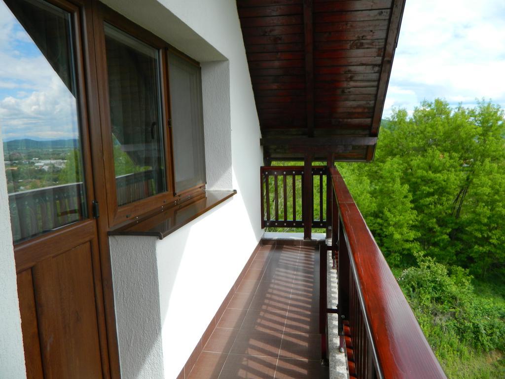 Pensiunea Andrei Maracineni Exterior foto