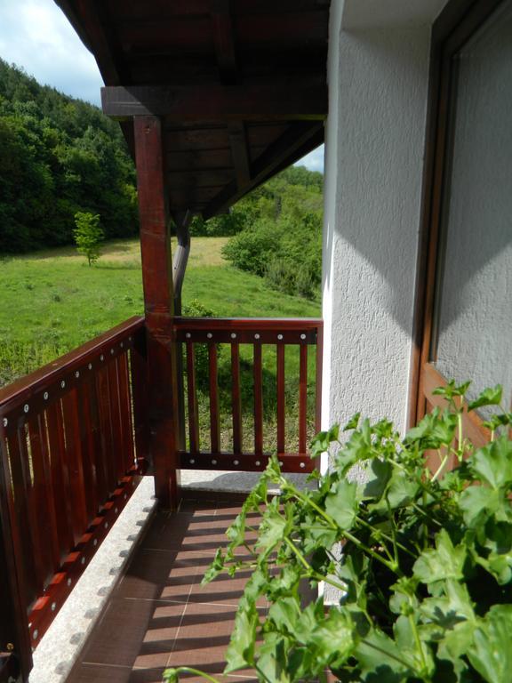 Pensiunea Andrei Maracineni Exterior foto